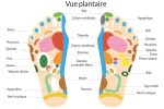 photo réflexologie plantaire